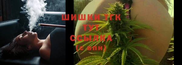 сатива Алексеевка